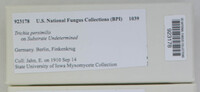 Image Associated With the Occurence